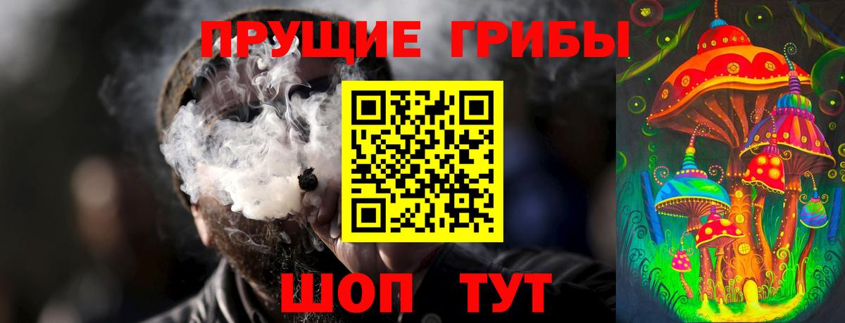 Чистополь  Псилоцибиновые грибы Psilocybine cubensis  Вход с VPN 
